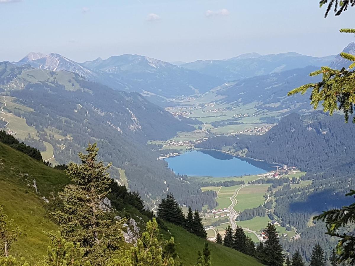 Haus Schreieck Klaudia Apartman Höfen Kültér fotó